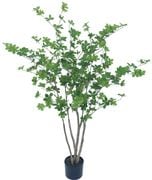 ��ͽ����ʸ20250825�˥ե��������꡼��켰