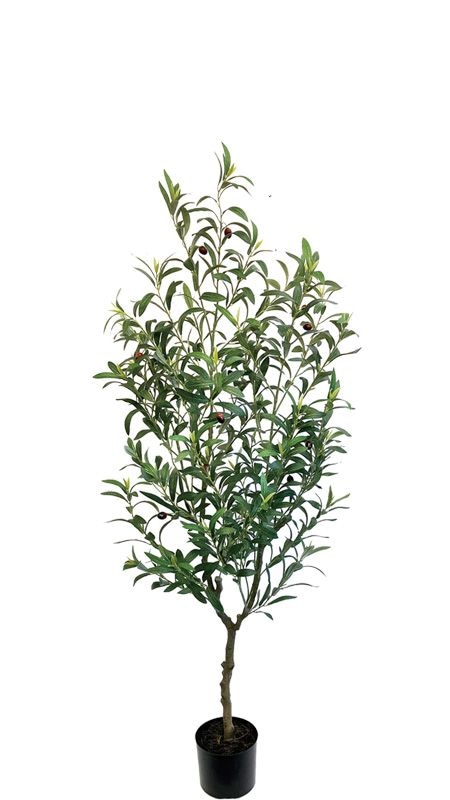 ꡼1550ե꡼ڿ͹տʪ