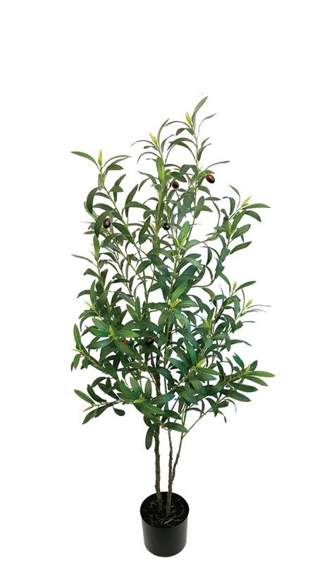 �����꡼��1250�ե��������꡼��ڿ͹����տ�ʪ��