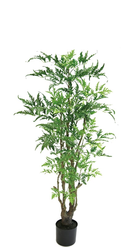 ե꡼󡡥ݥꥷ㥹1300ڿ͹ʪ¤֡