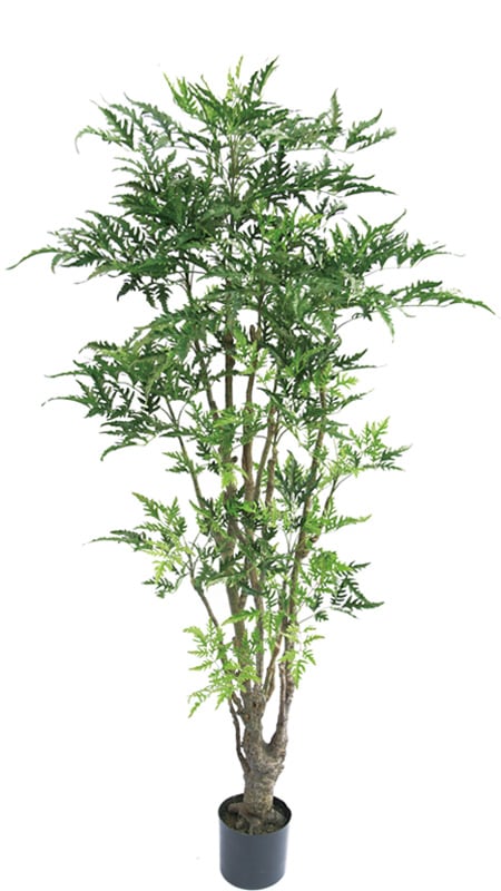 ڿ͹ʪ¤֡ۥե꡼󡡥ݥꥷ㥹1800