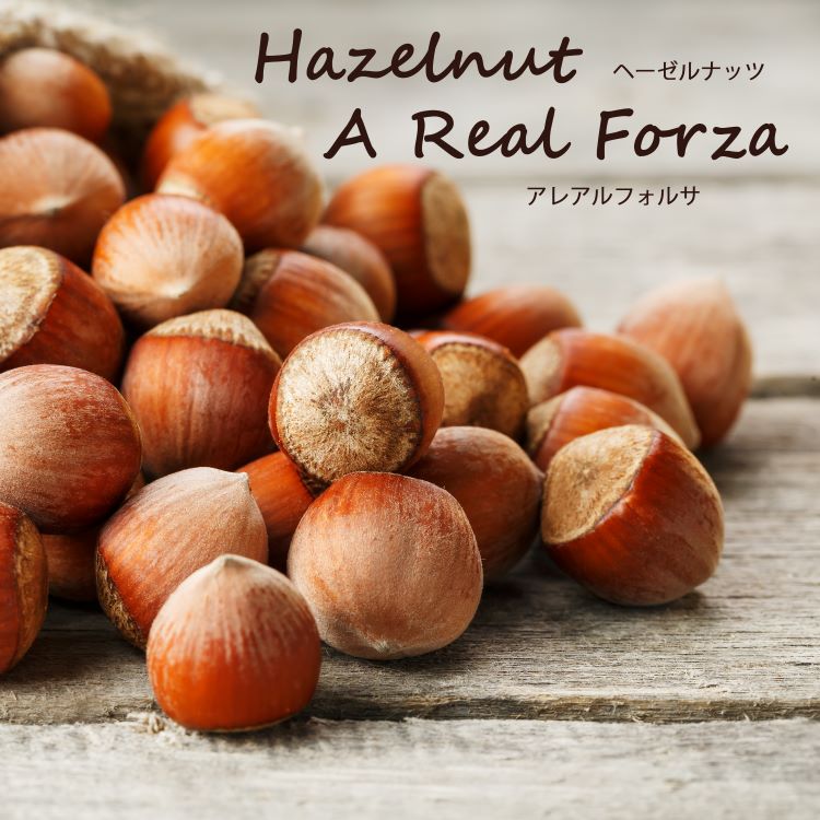 ししまる様 連絡用 ヘーゼルナッツ 穂木 ししまる様 連絡用 ヘーゼルナッツ