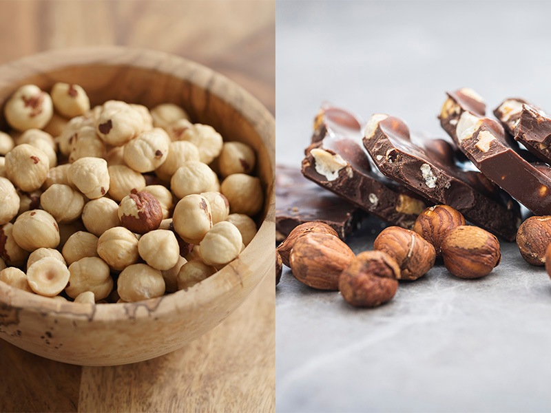 ヘーゼルナッツ 「ジェファーソン」 4.5号ポット 苗 通販 greenery