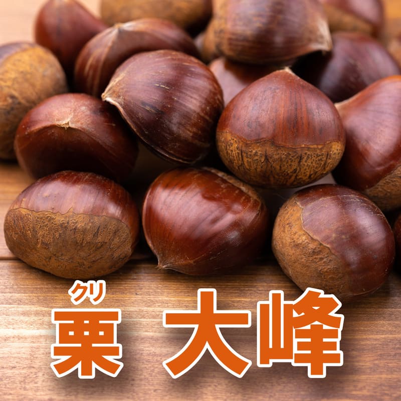 ぽろたん ぽろたん”と”ぽろすけ”2品種セット渋皮がむきやすい栗の苗木 12