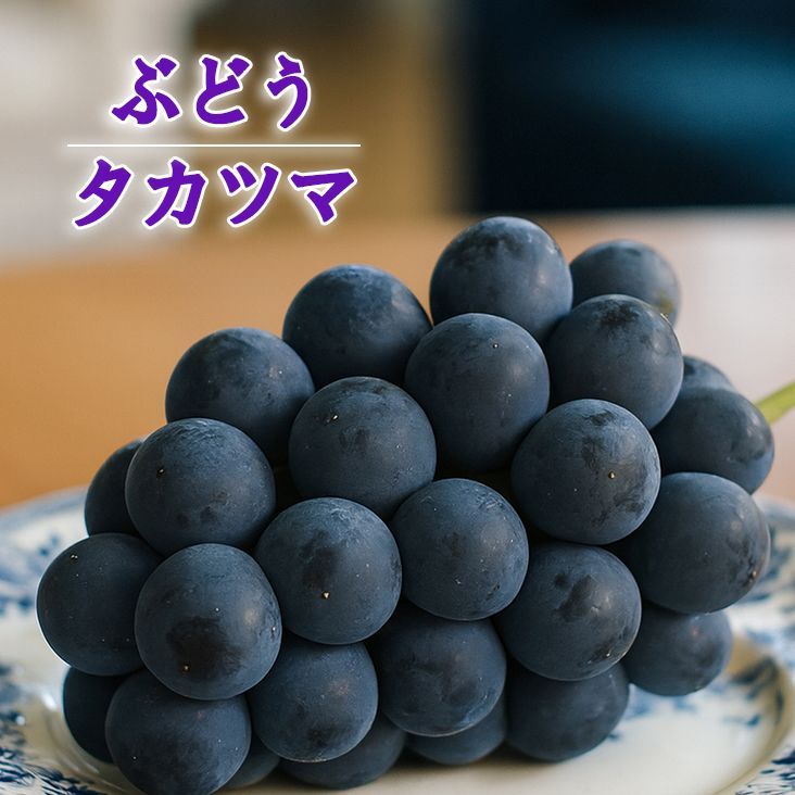 ぶどう<br>タカツマ（高妻）<br>挿木苗<br>10.5ｃｍポット苗