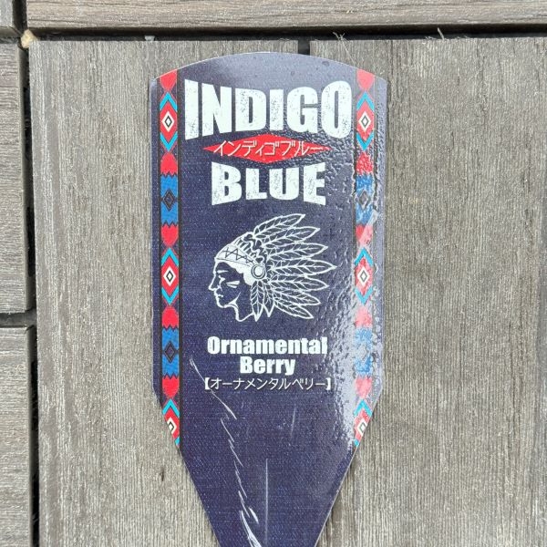 オーナメンタルベリー 「インディゴブルー」鑑賞用ブルーベリー 4.5号