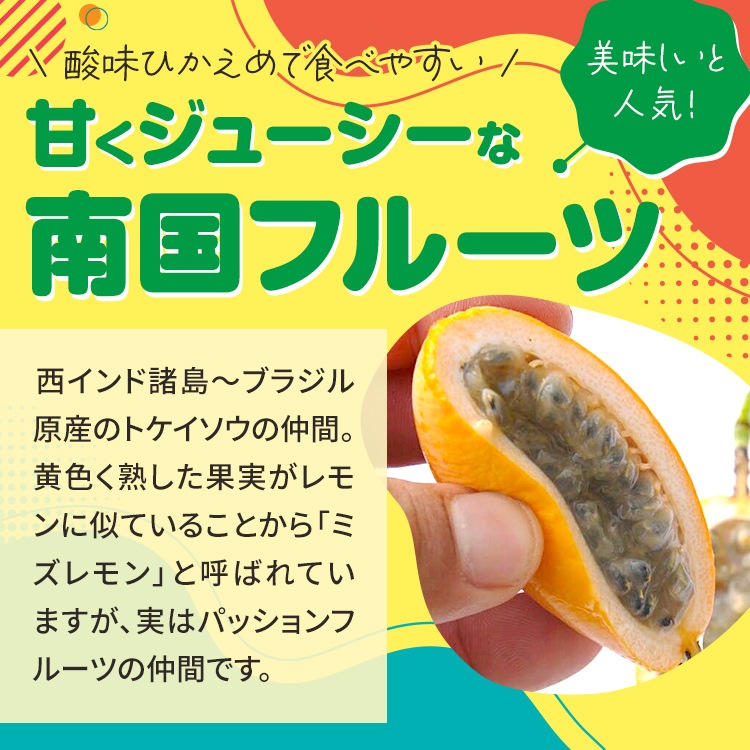 ミズレモン 9cmポット苗 2個セット パッションフルーツ 苗木 果樹 通販