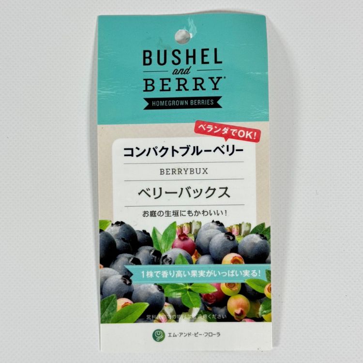 ブルーベリー<br>ブッシェル・アンド・ベリー<br>「ベリーバックス」 <br>鉢:12cm×15cmの長方形