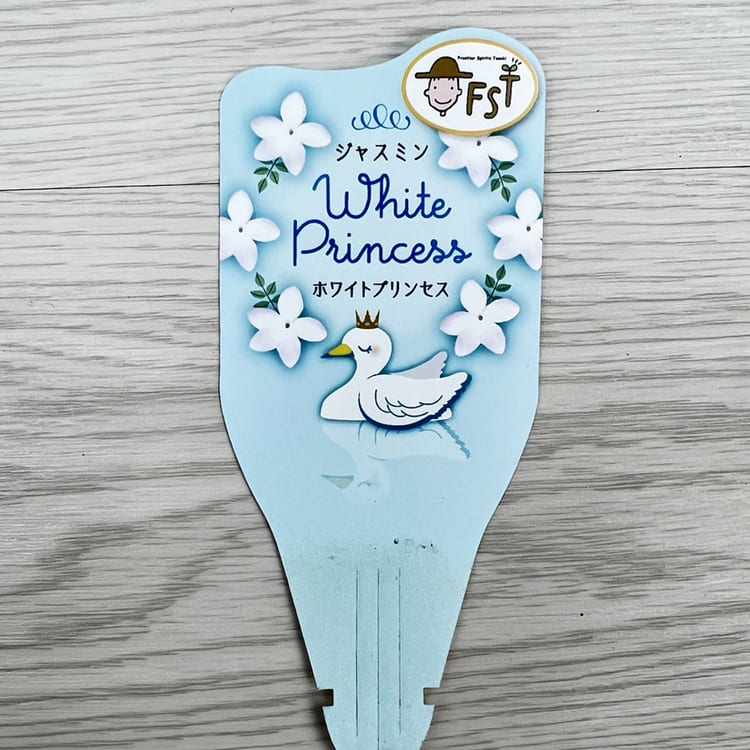 ジャスミン 「ホワイトプリンセス」 9cmポット苗 2個セット苗 花 植物
