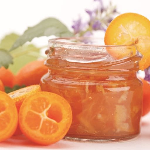 キンカン 「ぷちまる」 プチマル 5号ポット苗木