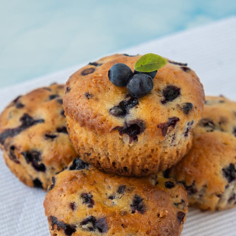 ブルーベリー ブッシェル・アンド・ベリー 「ミッドナイトカスケード