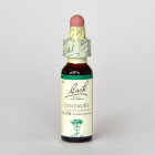 ����ȡ��꡼