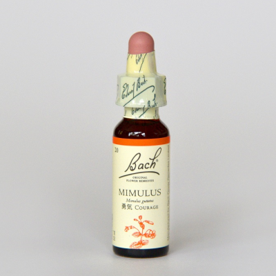ミムラス | バッチフラワーレメディ,バッチフラワーレメディ