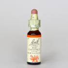 ��åɥ������ȥʥå�