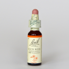 ���å�������