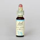 ���å�����������