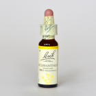 �������󥵥�