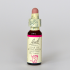 ���������֥٥ĥ�إ�