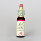 �������ȥ������ȥʥå�