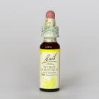 �ۥ磻�ȥ������ȥʥå�