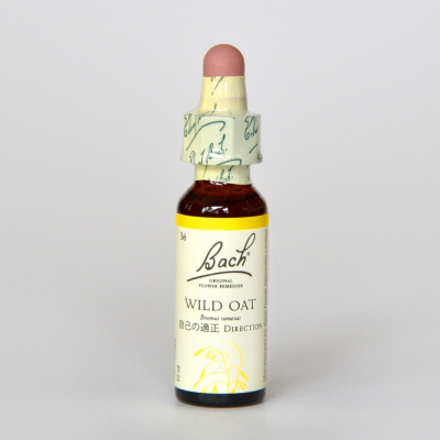 �磻��ɥ�����