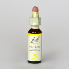 �磻��ɥ�����