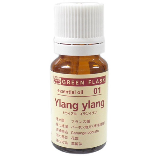 GF����󥤥��