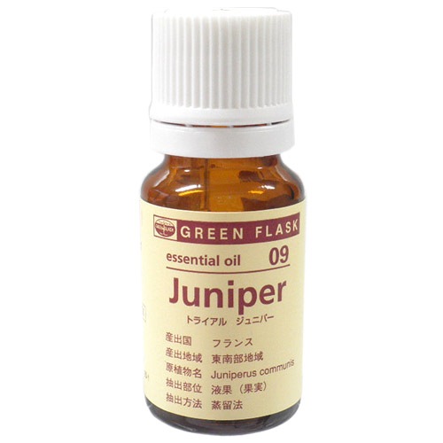 GF����˥ѡ�