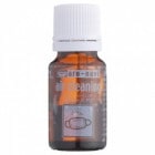 �����ʥӡ����������꡼�˥�