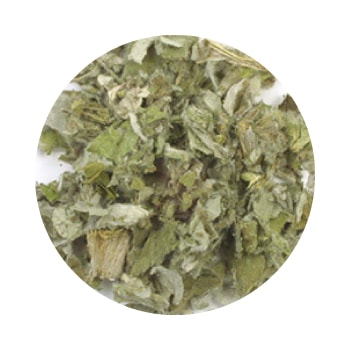 GF�����ƥ����硼��