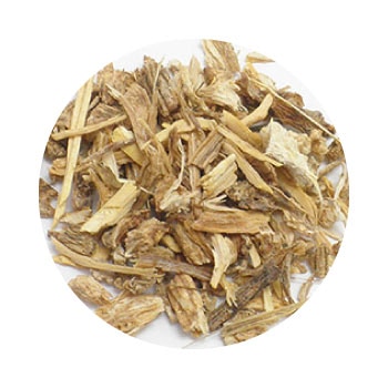 GF���󥸥��ꥫ�����Υȥ�����