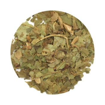 GF�����å��ء�����ʥϥޥ�ꥹ��