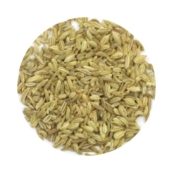 GF�������ȥե���ͥ�ʥ������祦��