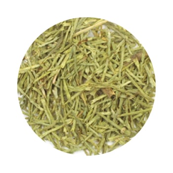 GF�����ʡʥۡ����ơ����