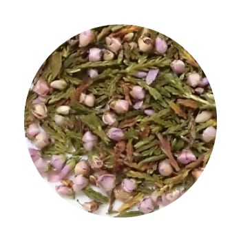 GFヒース（エリカ、ヘザー） | ハーブ,シングルハーブ | グリーン