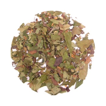 GF�ۡ���������Υ��󥶥���