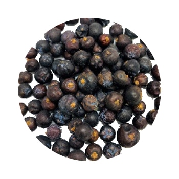 ジュニパーベリー GIN JUNIPERBERRY PURE（ジン／ジュニパーベリー／47°／370ml