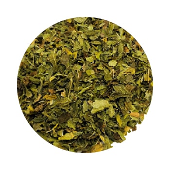 GF���ڥ��ߥ��