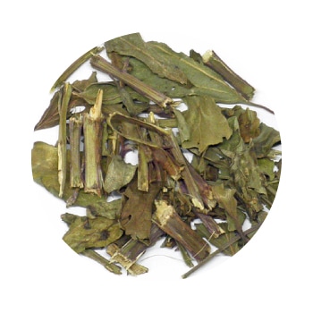 クミスクチン茶6袋(6x80gr.) 100%パウダー クミスクチン茶100