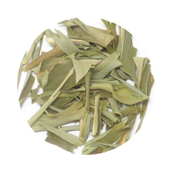 沖縄 サンニン | ハーブ,国産ハーブ | グリーンフラスコオンラインショップ