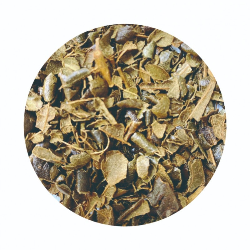 ������Ӥ���