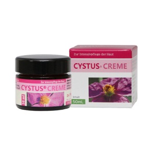 �������������꡼��