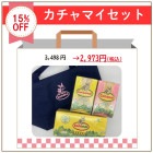 【セール限定】 カチャマイセット ランチバック付き