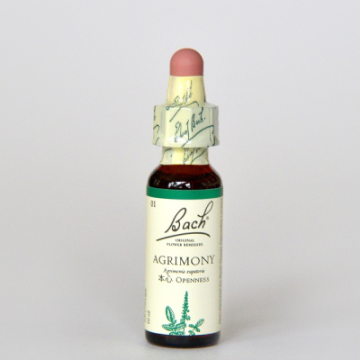 �ڥ����ȥ�å��ʡۥ������ˡ�