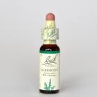 �ڥ����ȥ�å��ʡۥ������ˡ�