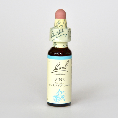 �ڥ����ȥ�å��ʡۥХ���