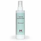 NICO �֥�å��󥰥�������󡡥����⥸