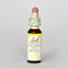 �ڥ����ȥ�å��ʡۥ������ȥʥåȥХå�