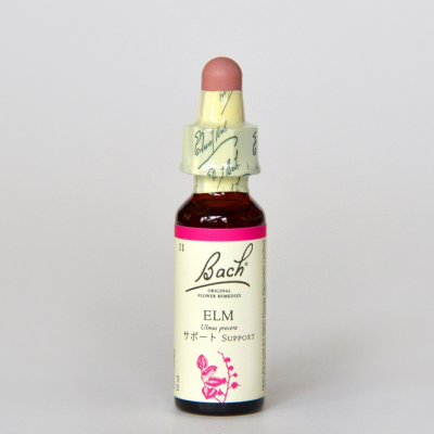 �ڥ����ȥ�å��ʡۥ����