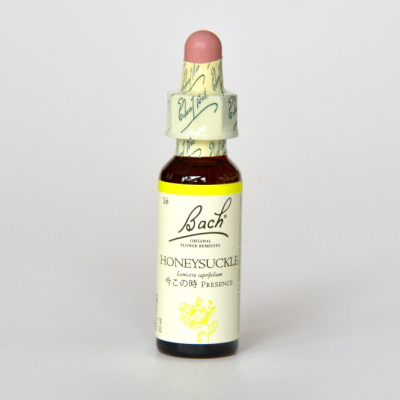 �ڥ����ȥ�å��ʡۥϥˡ����å���